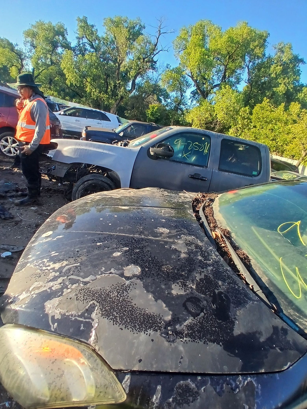 CA_VEHICLE_MEDIA:13203477161:3293515400