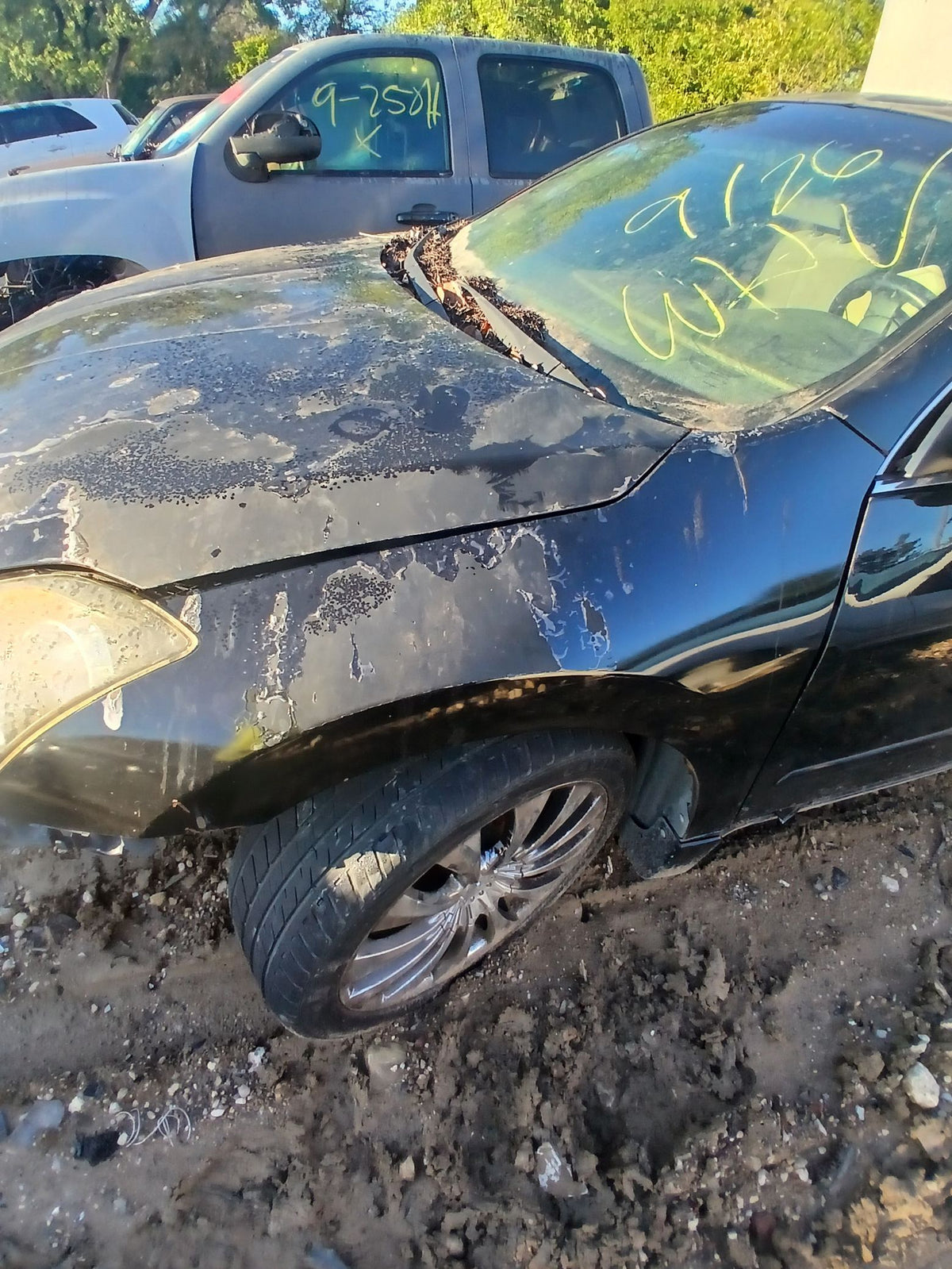 CA_VEHICLE_MEDIA:13203477161:3293515523