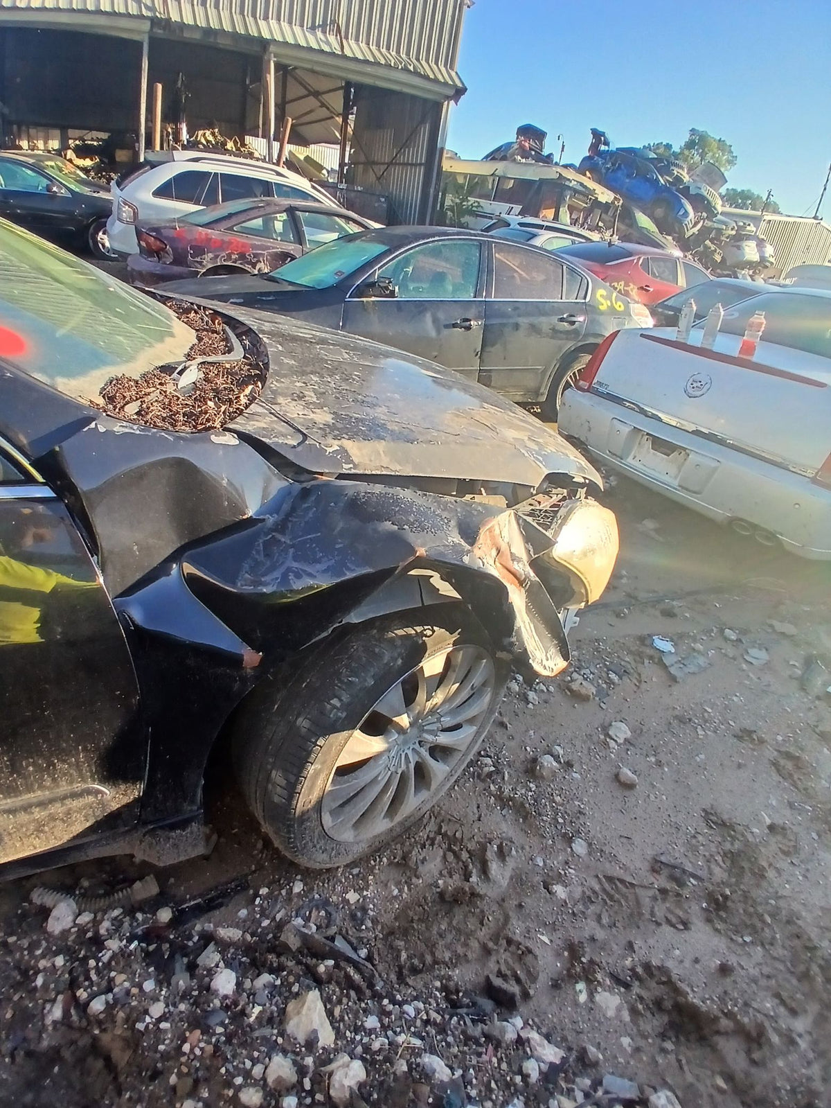 CA_VEHICLE_MEDIA:13203477161:3293516233