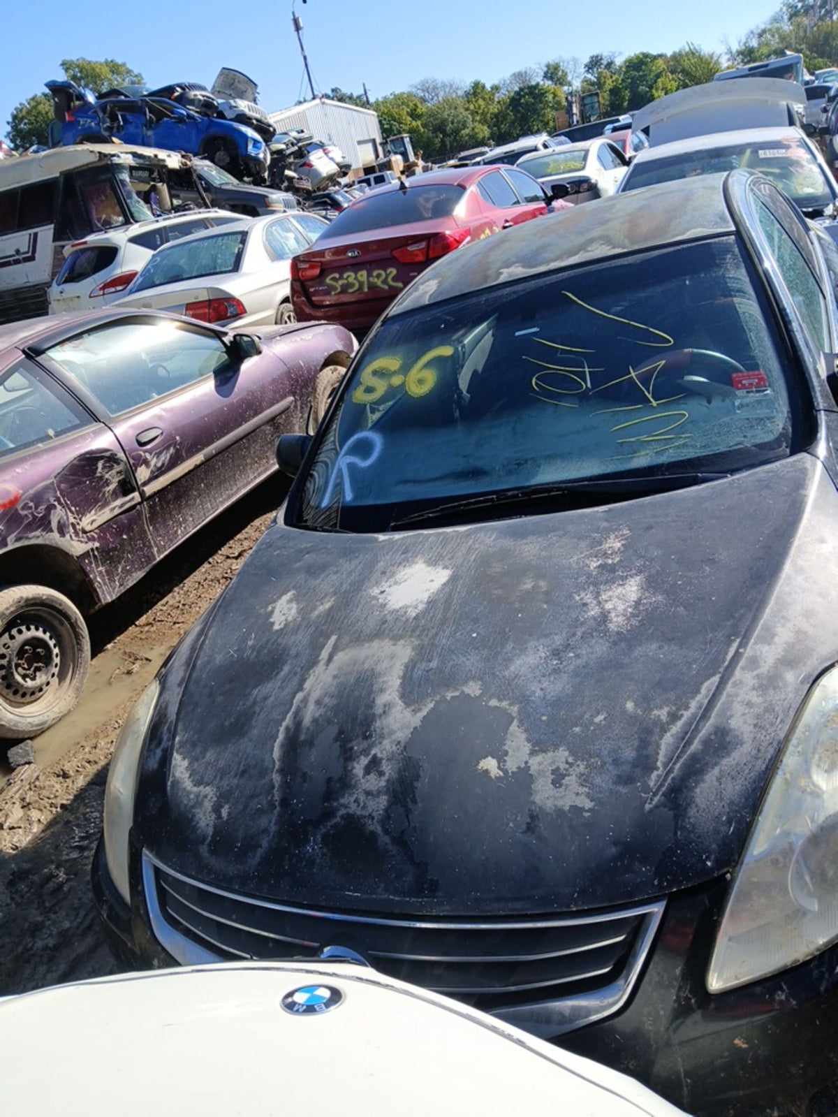 CA_VEHICLE_MEDIA:13203477162:3293853139