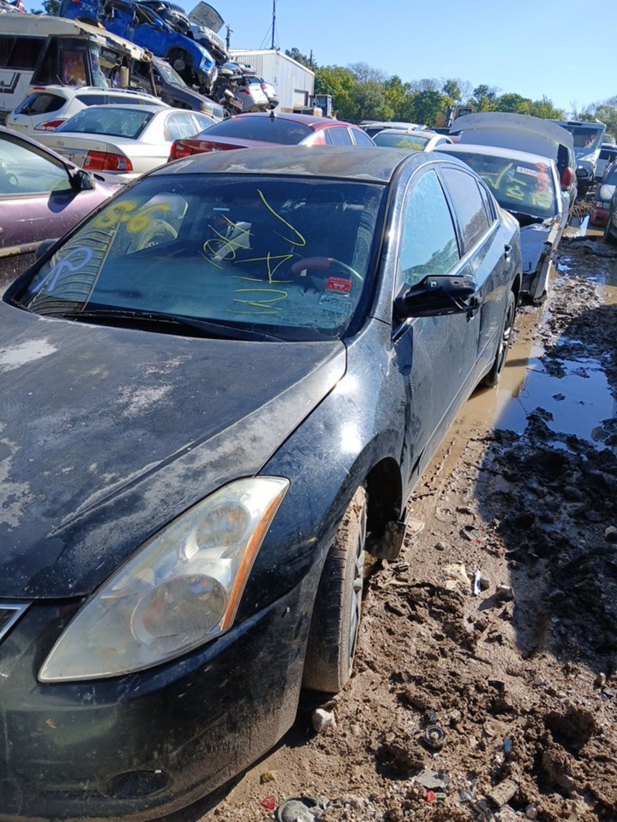 CA_VEHICLE_MEDIA:13203477162:3293853175