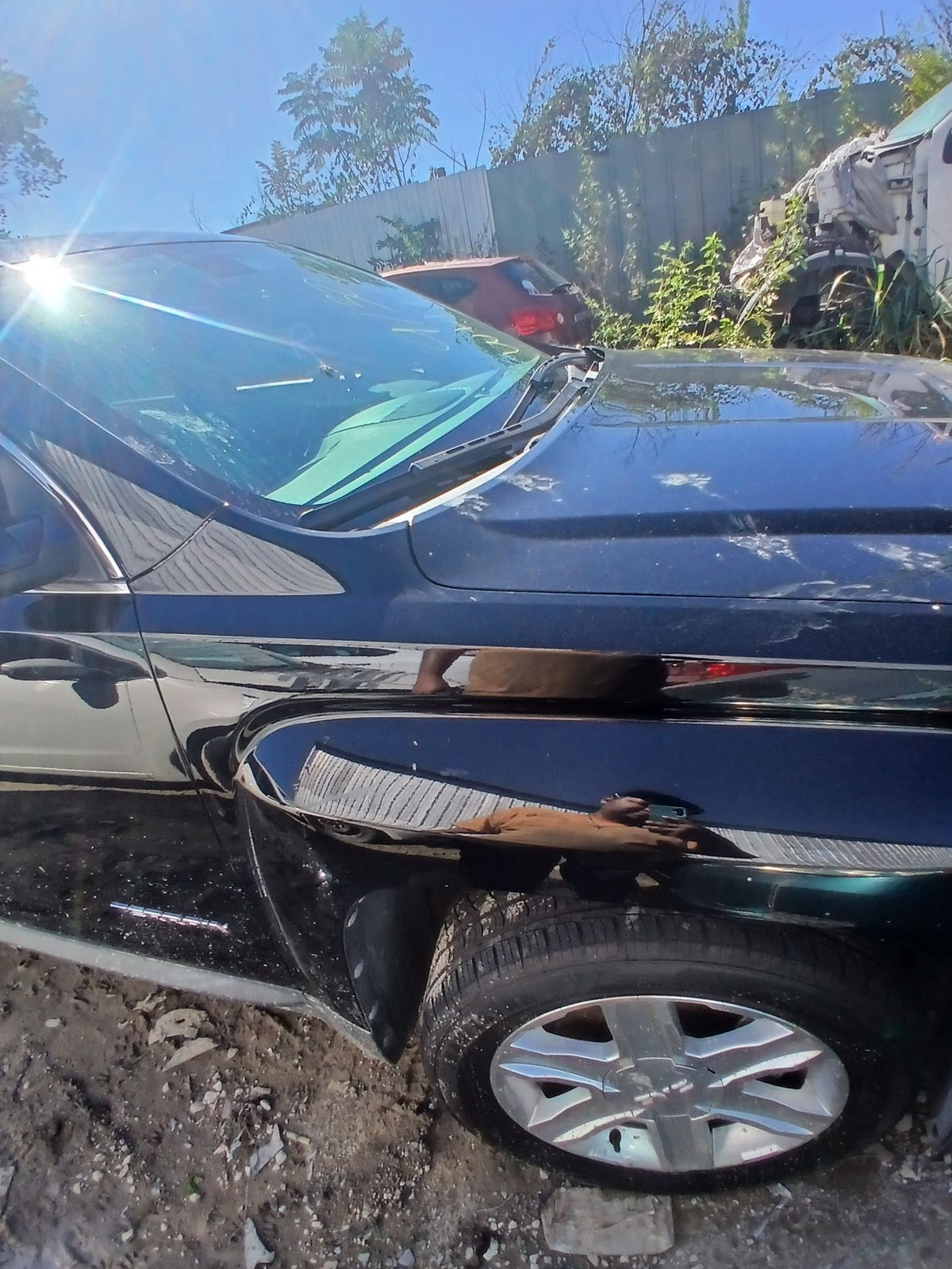 CA_VEHICLE_MEDIA:13203477459:3295144754