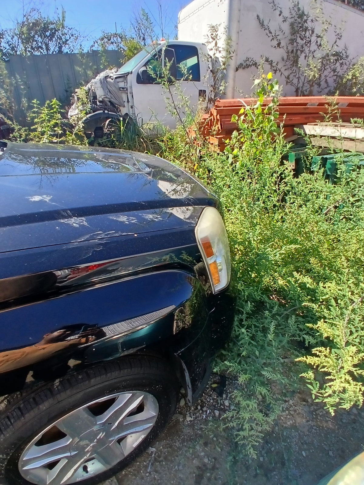 CA_VEHICLE_MEDIA:13203477459:3295144769