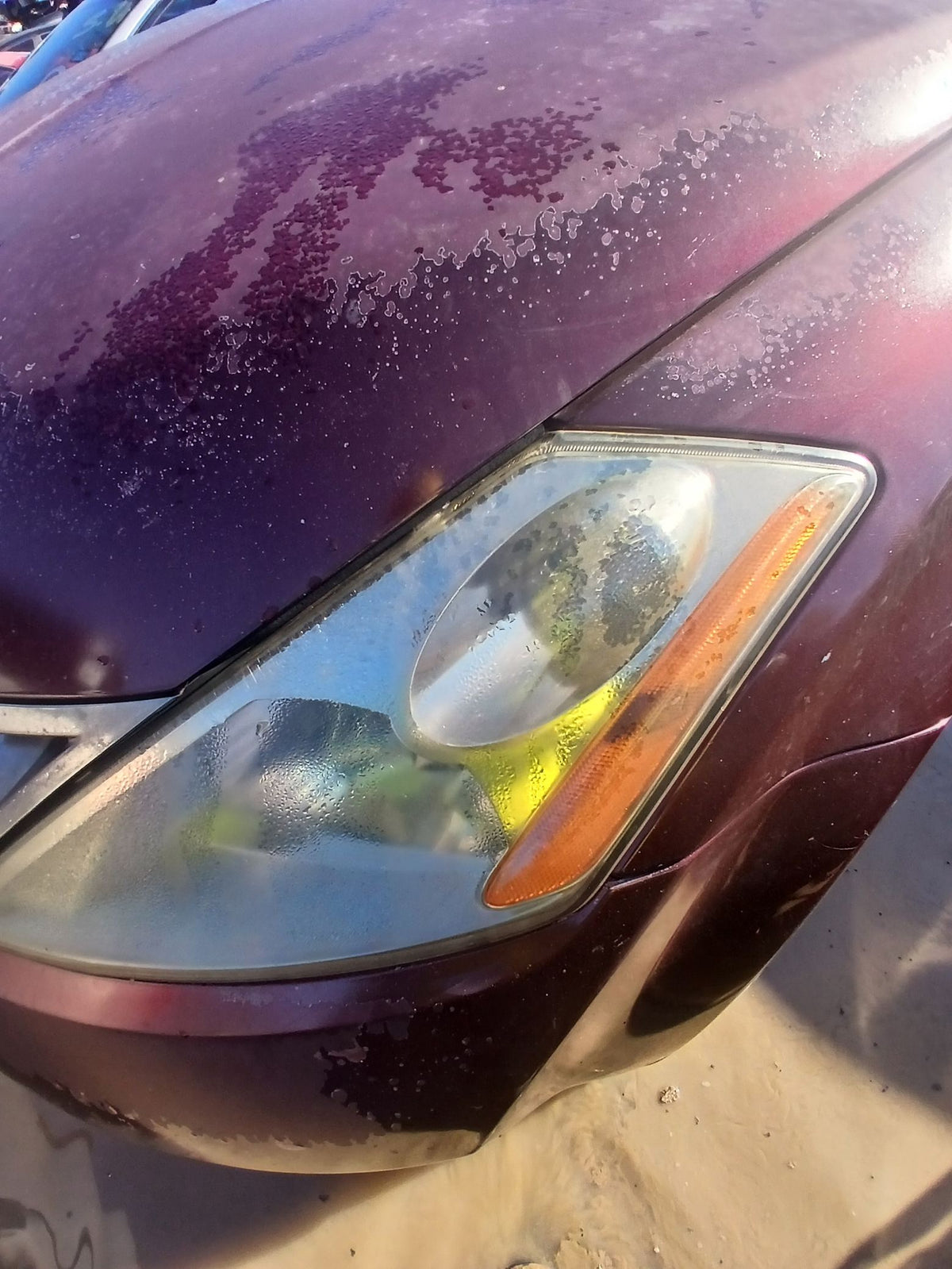 CA_VEHICLE_MEDIA:13203491374:3293734021