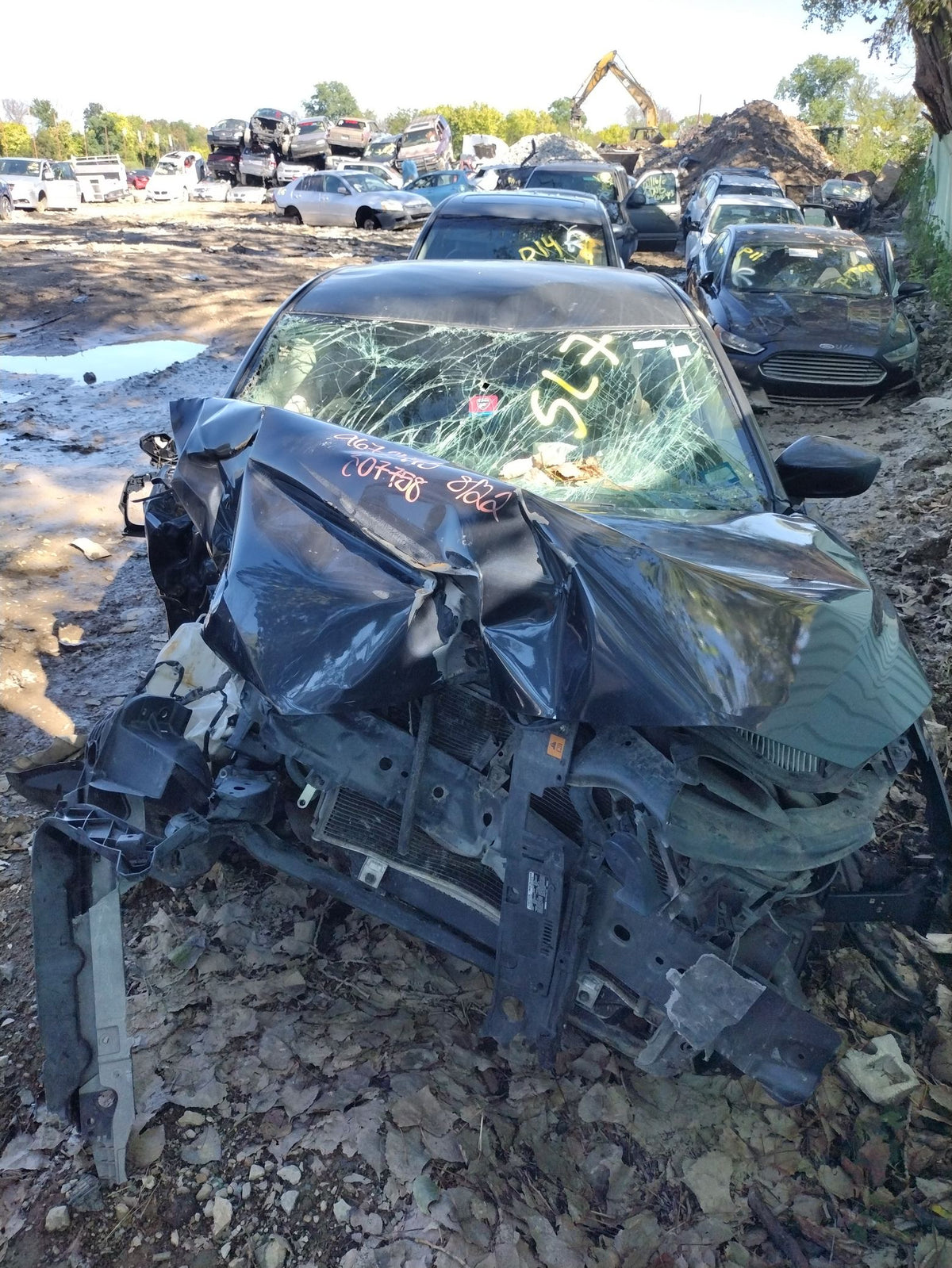 CA_VEHICLE_MEDIA:13203491418:3295183157