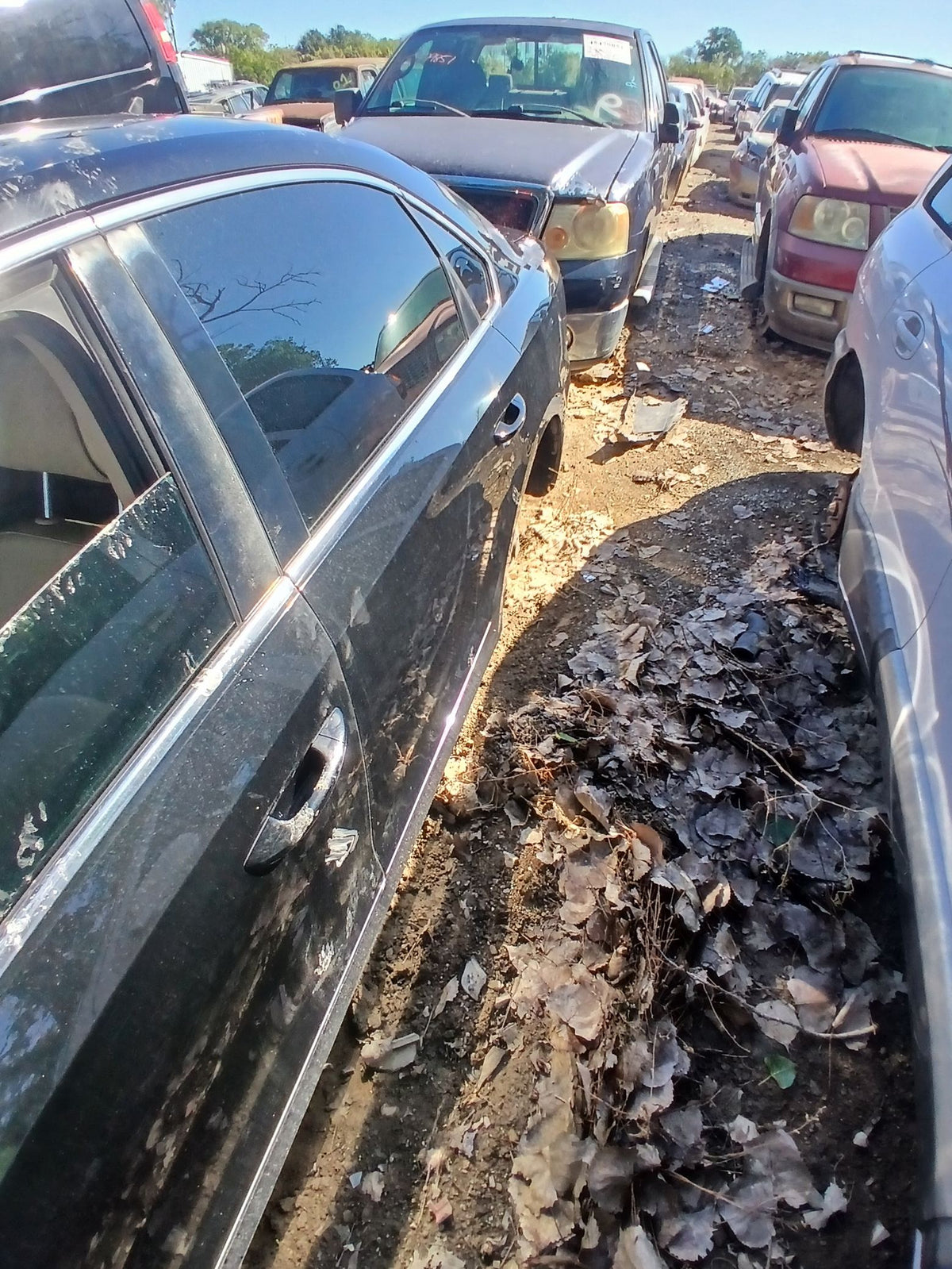 CA_VEHICLE_MEDIA:13203491420:3294053703