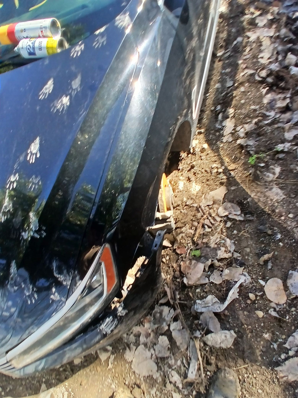 CA_VEHICLE_MEDIA:13203491420:3294054374