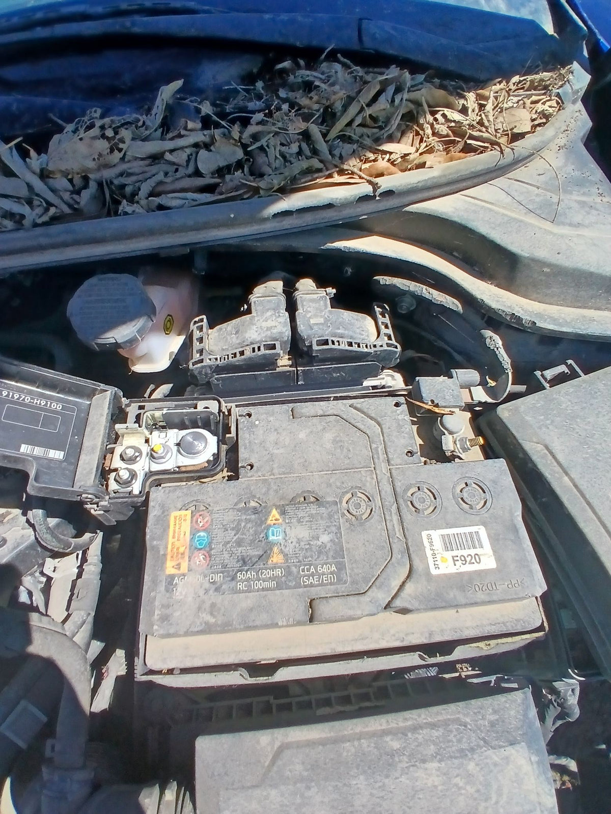 CA_VEHICLE_MEDIA:13203491422:3294782679