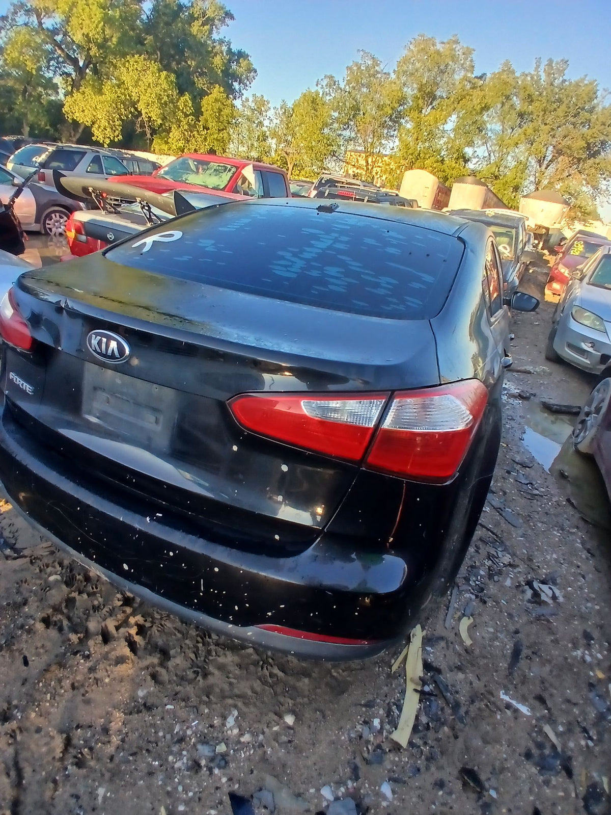 CA_VEHICLE_MEDIA:13203491424:3293425089