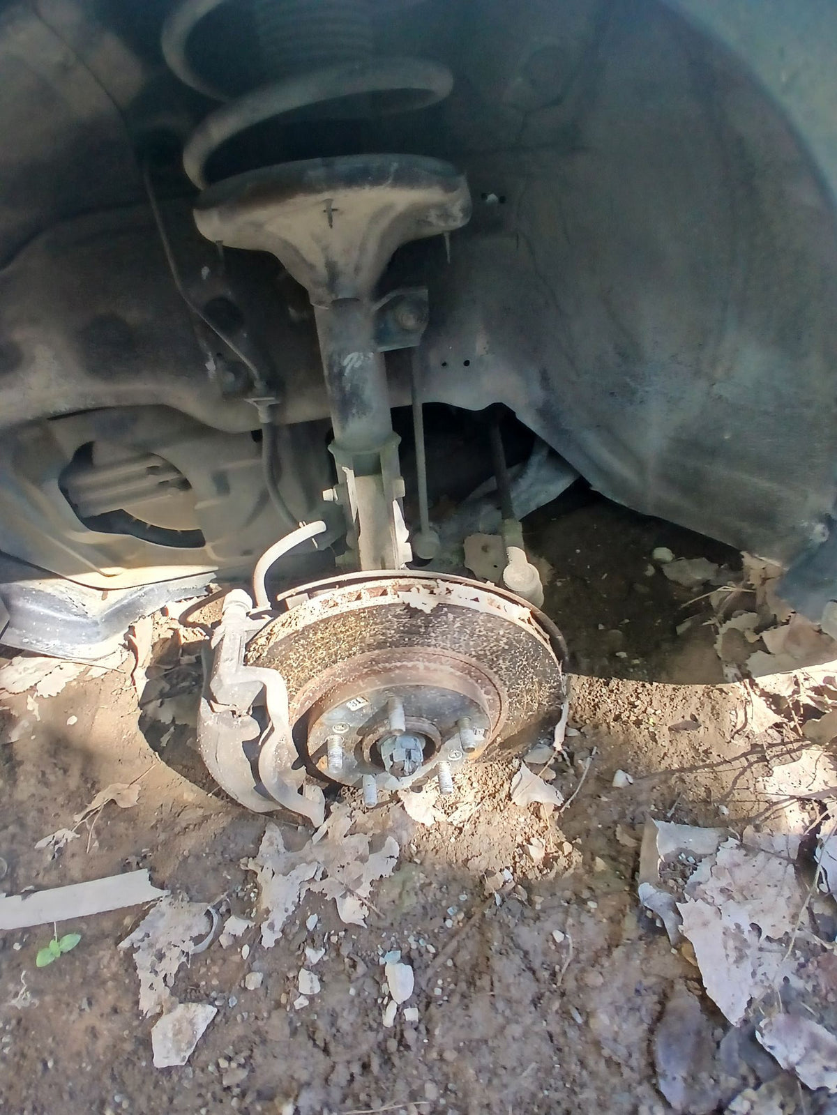 CA_VEHICLE_MEDIA:13203493538:3294076626