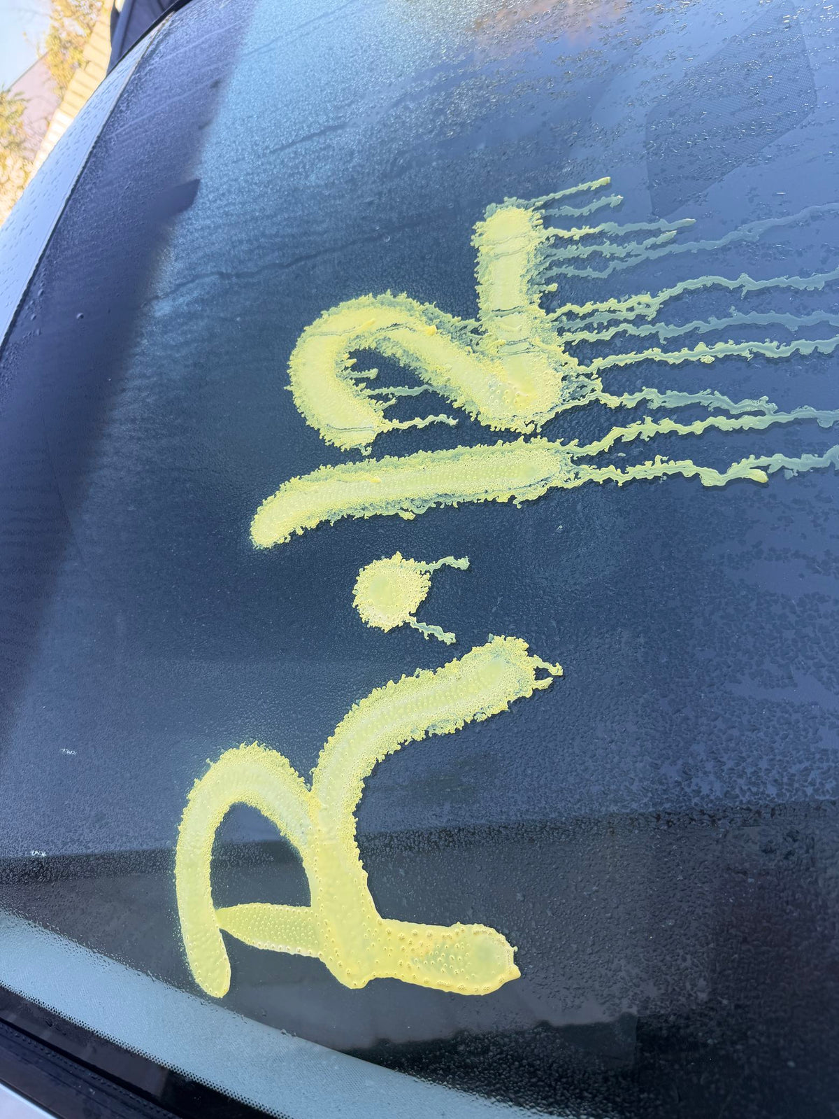 CA_VEHICLE_MEDIA:13203493541:3300950605