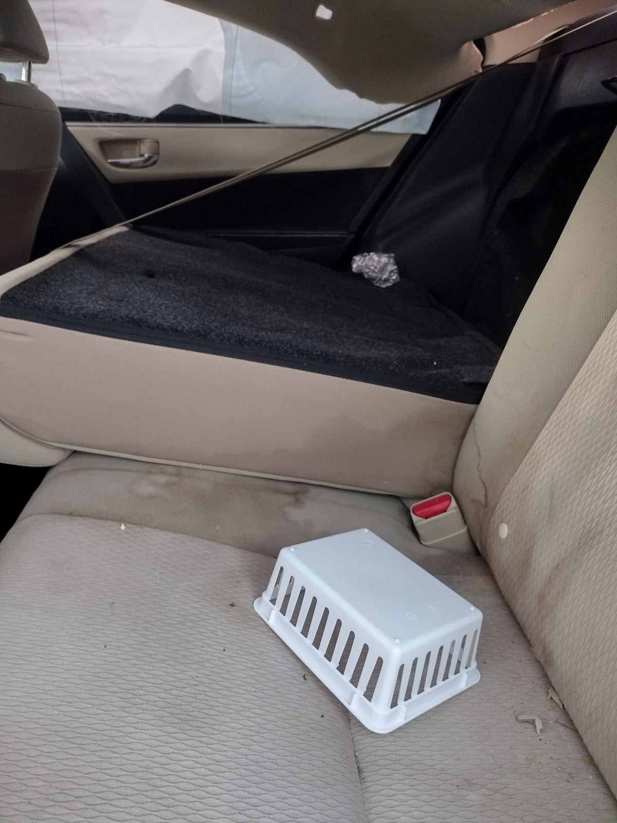 CA_VEHICLE_MEDIA:13203496376:3296589103