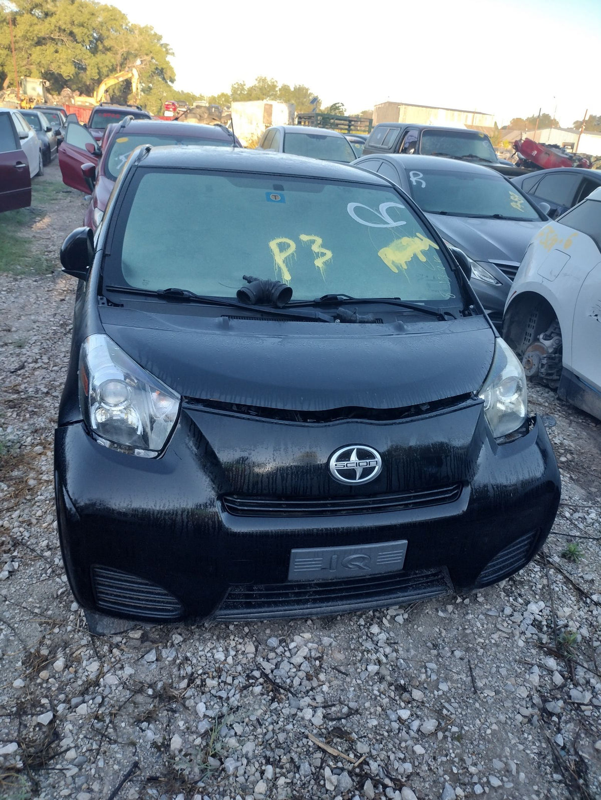 CA_VEHICLE_MEDIA:13203496377:3296719281