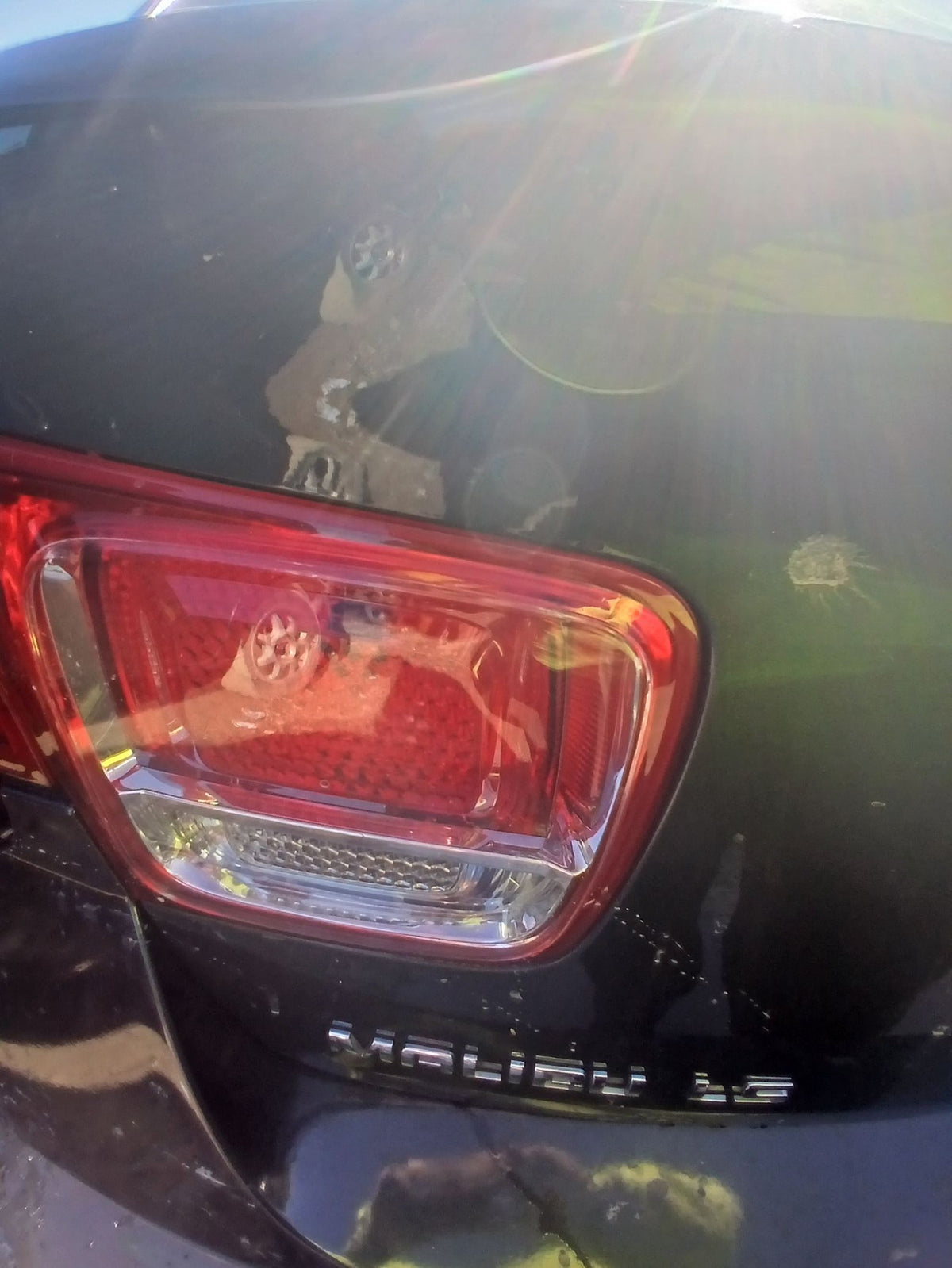 CA_VEHICLE_MEDIA:13203503093:3293793586