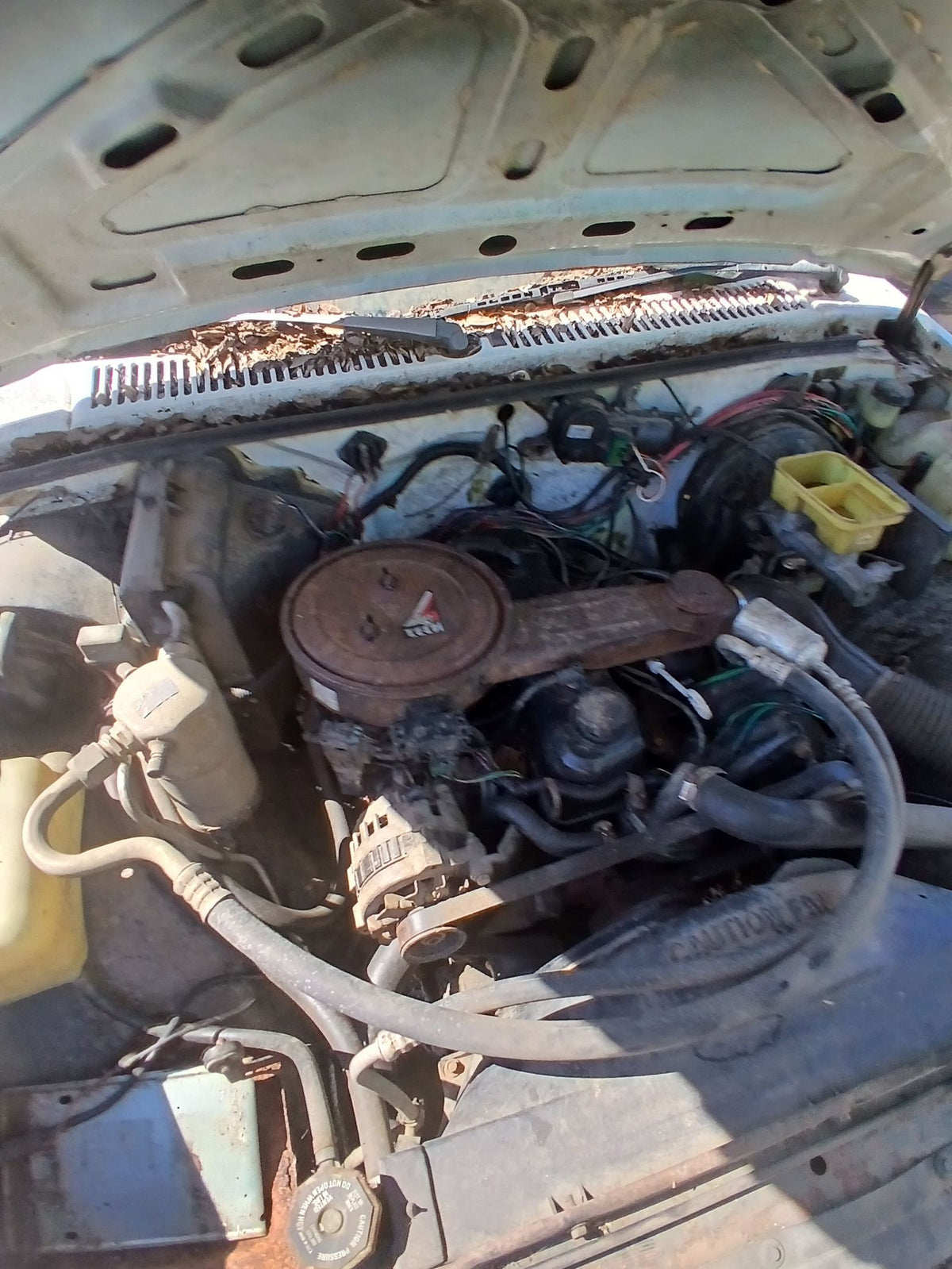 CA_VEHICLE_MEDIA:13203515092:3294877402