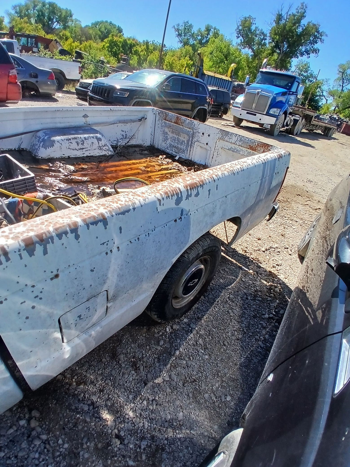 CA_VEHICLE_MEDIA:13203515092:3294891260
