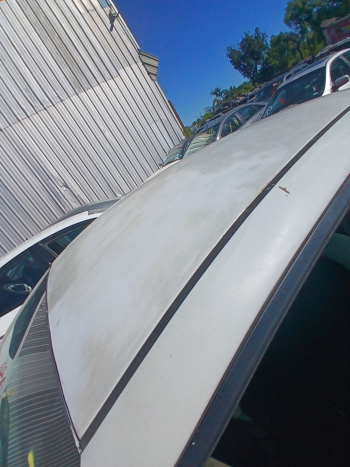 CA_VEHICLE_MEDIA:13203519639:3295187476