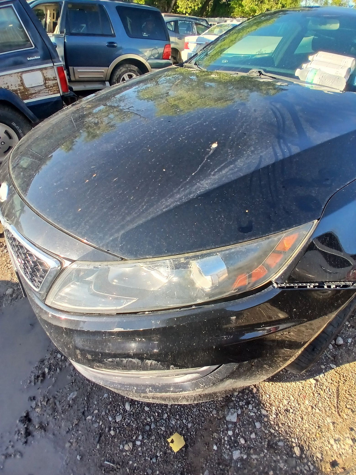 CA_VEHICLE_MEDIA:13203519640:3293624148