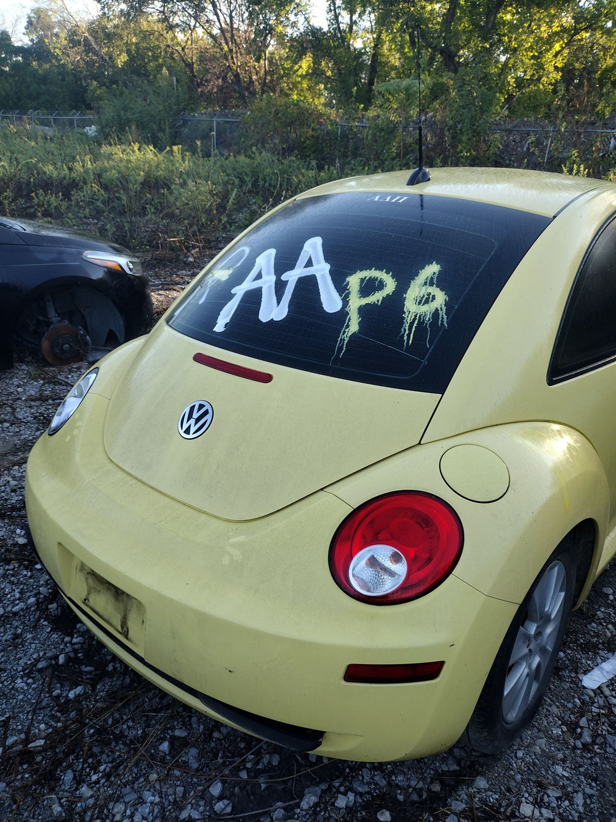 CA_VEHICLE_MEDIA:13203528194:3296875156