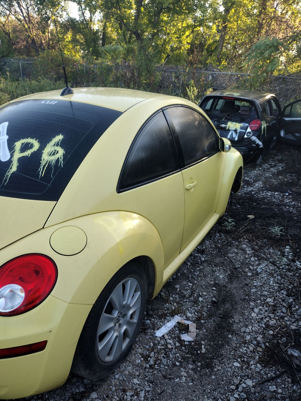 CA_VEHICLE_MEDIA:13203528194:3296875526