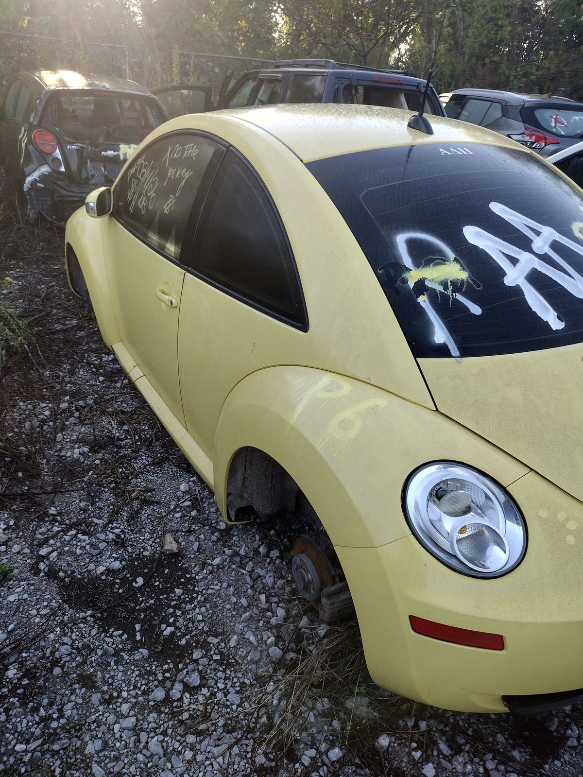 CA_VEHICLE_MEDIA:13203528194:3296894815