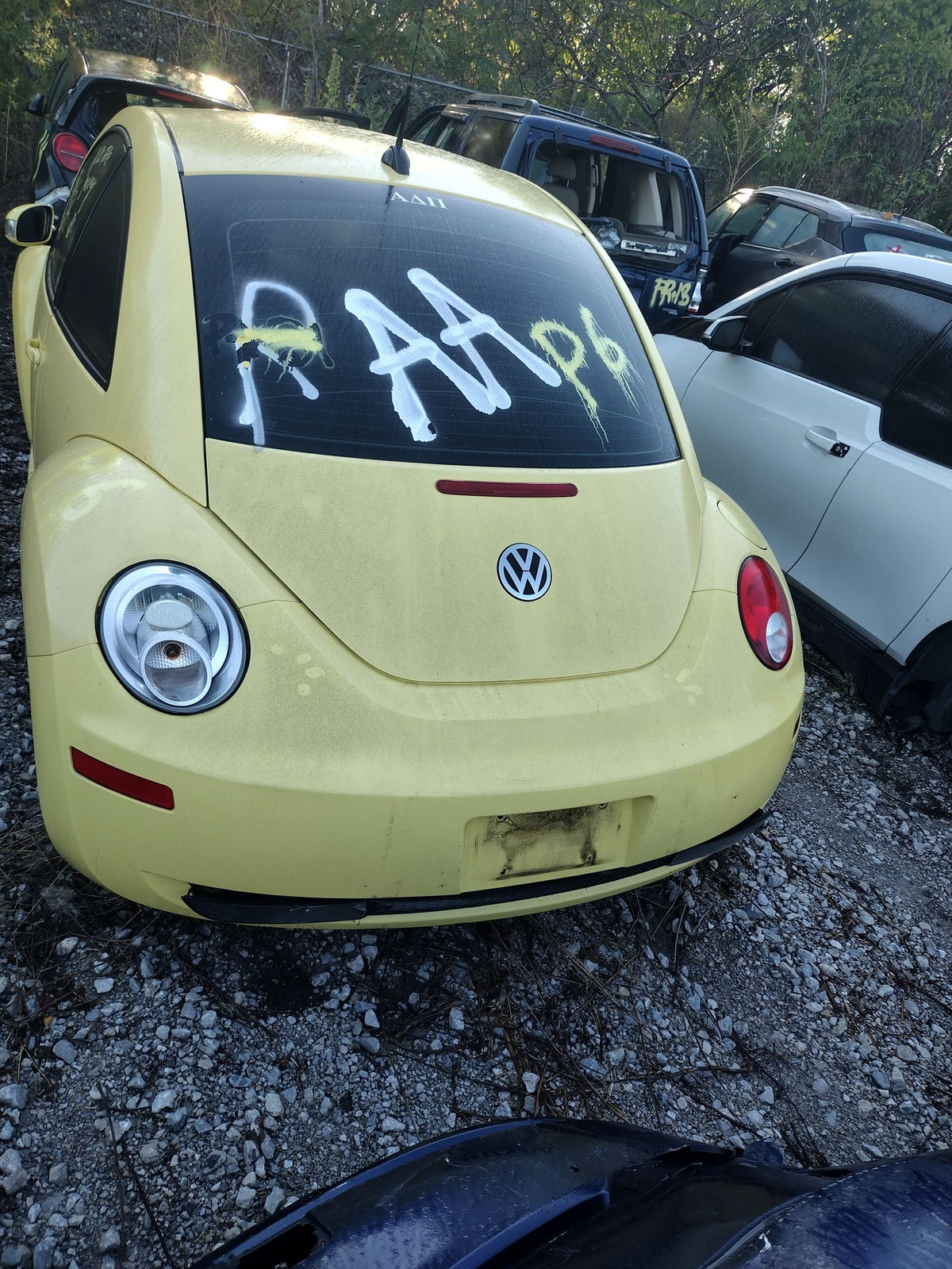 CA_VEHICLE_MEDIA:13203528194:3296894867