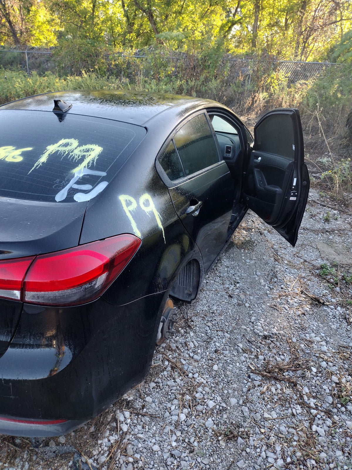 CA_VEHICLE_MEDIA:13203528197:3297081229
