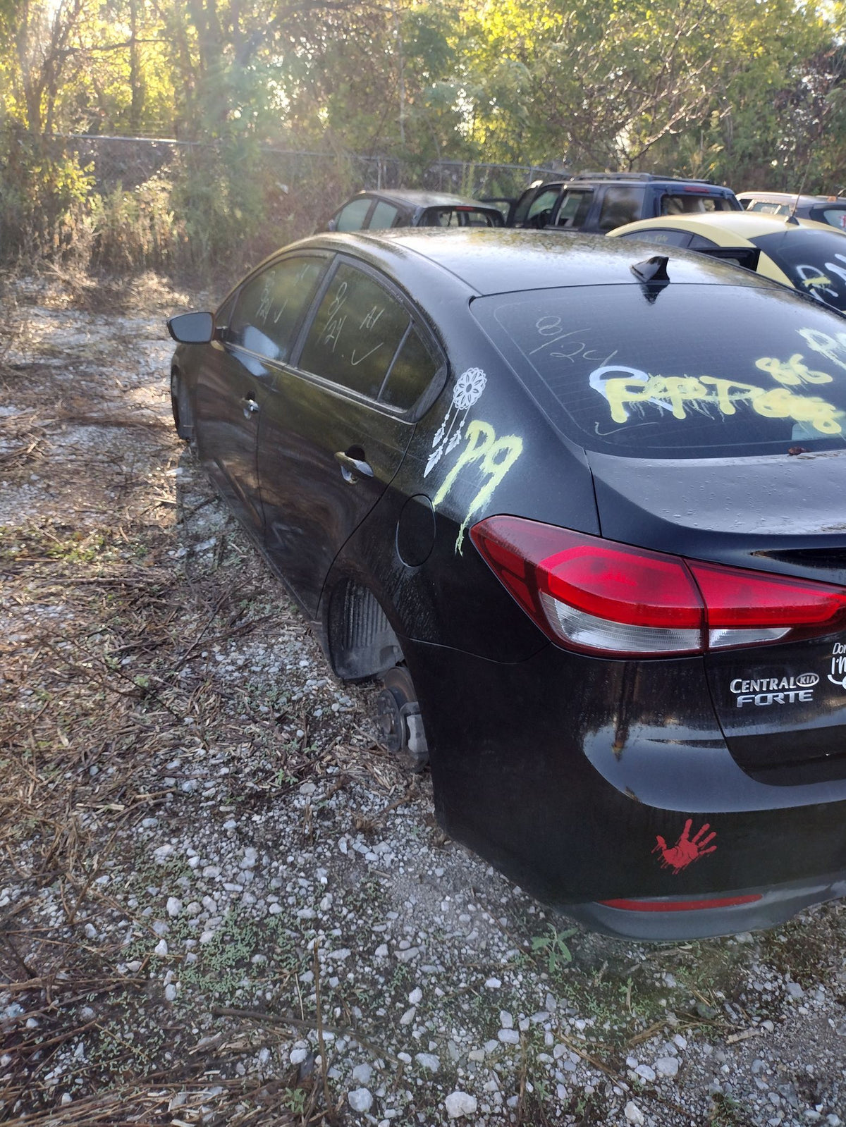 CA_VEHICLE_MEDIA:13203528197:3297081845