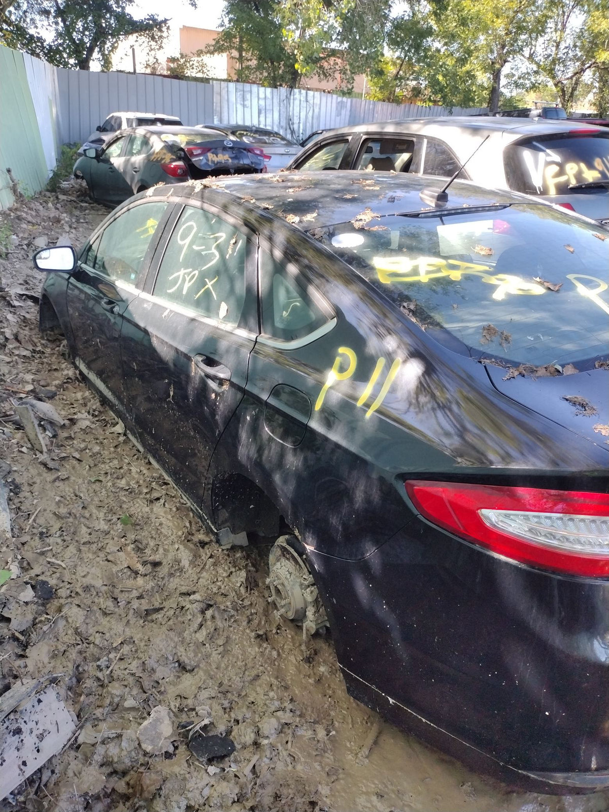 CA_VEHICLE_MEDIA:13203528199:3295124275