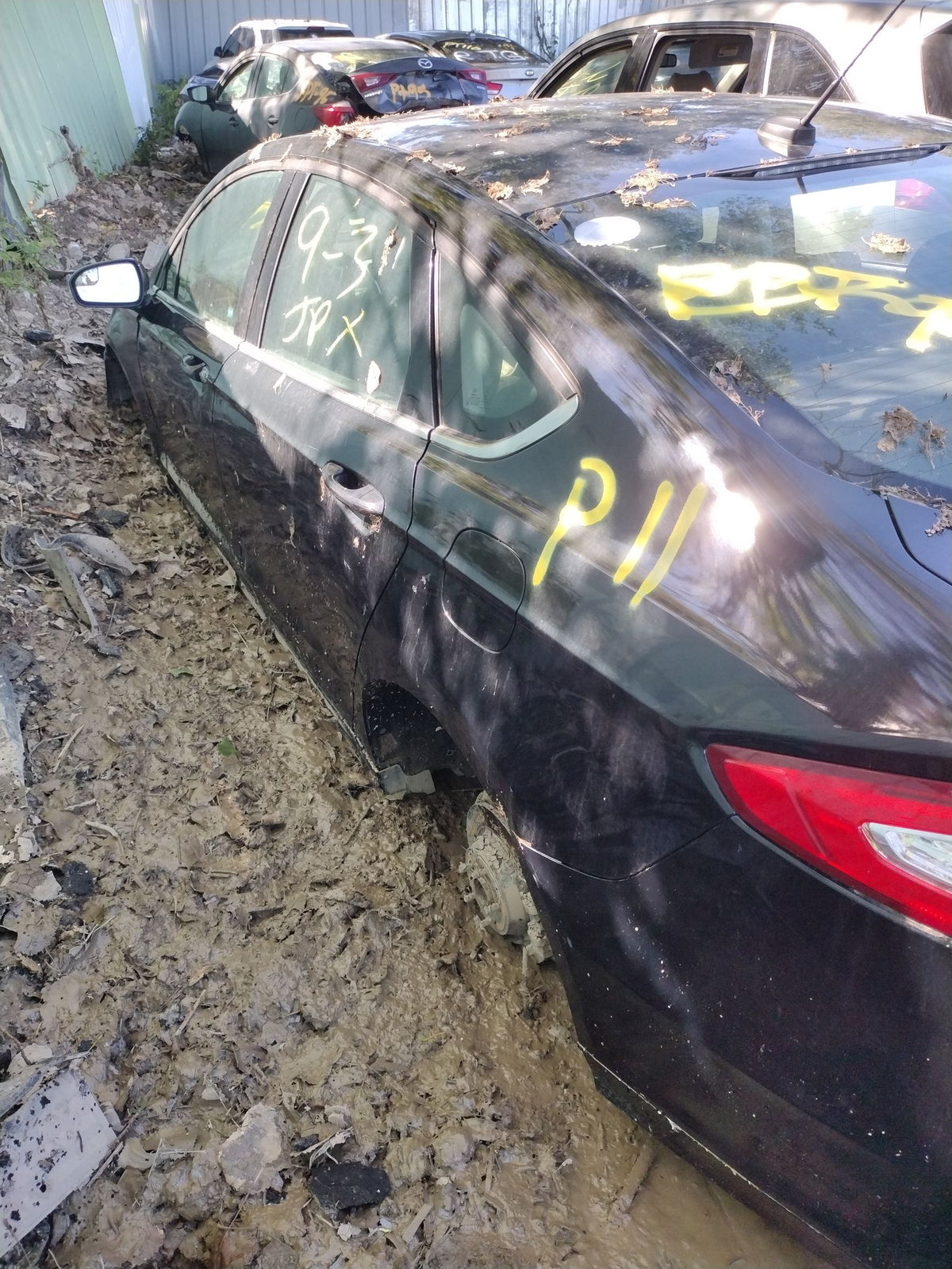 CA_VEHICLE_MEDIA:13203528199:3295125979