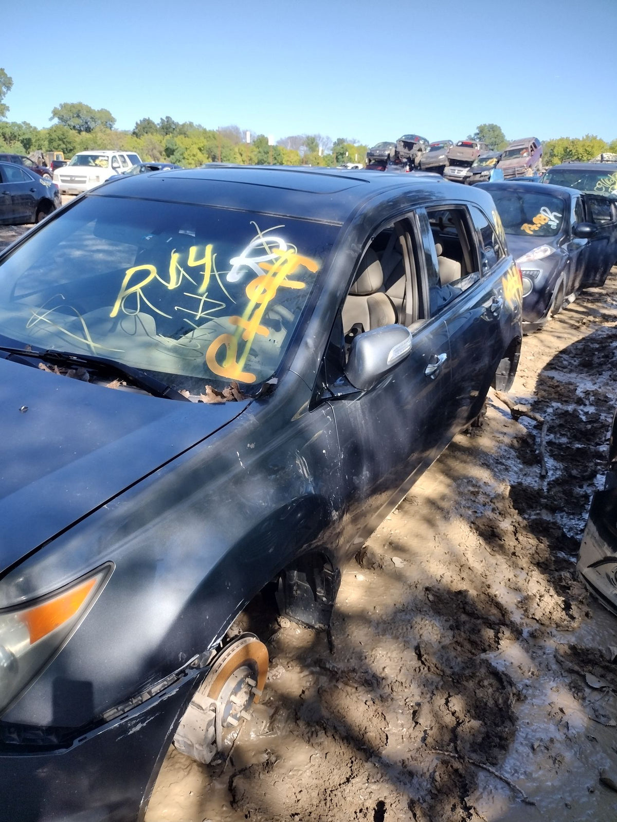 CA_VEHICLE_MEDIA:13203528202:3295169590