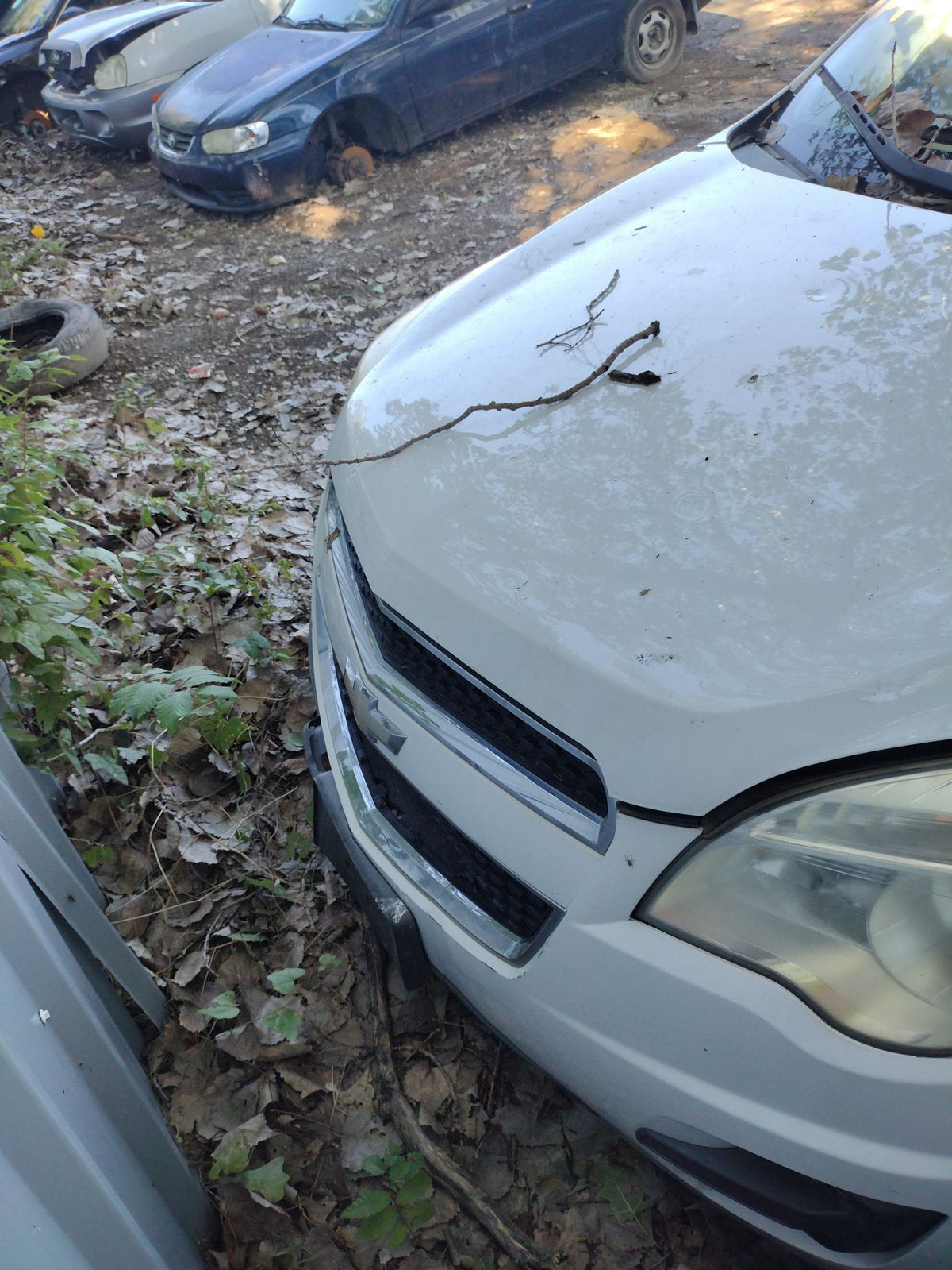CA_VEHICLE_MEDIA:13203528203:3295196845