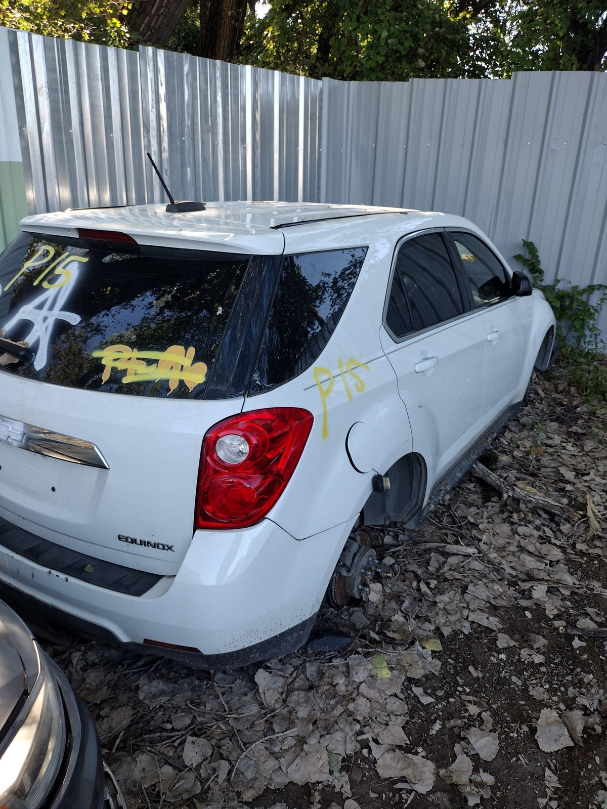 CA_VEHICLE_MEDIA:13203528203:3295216689