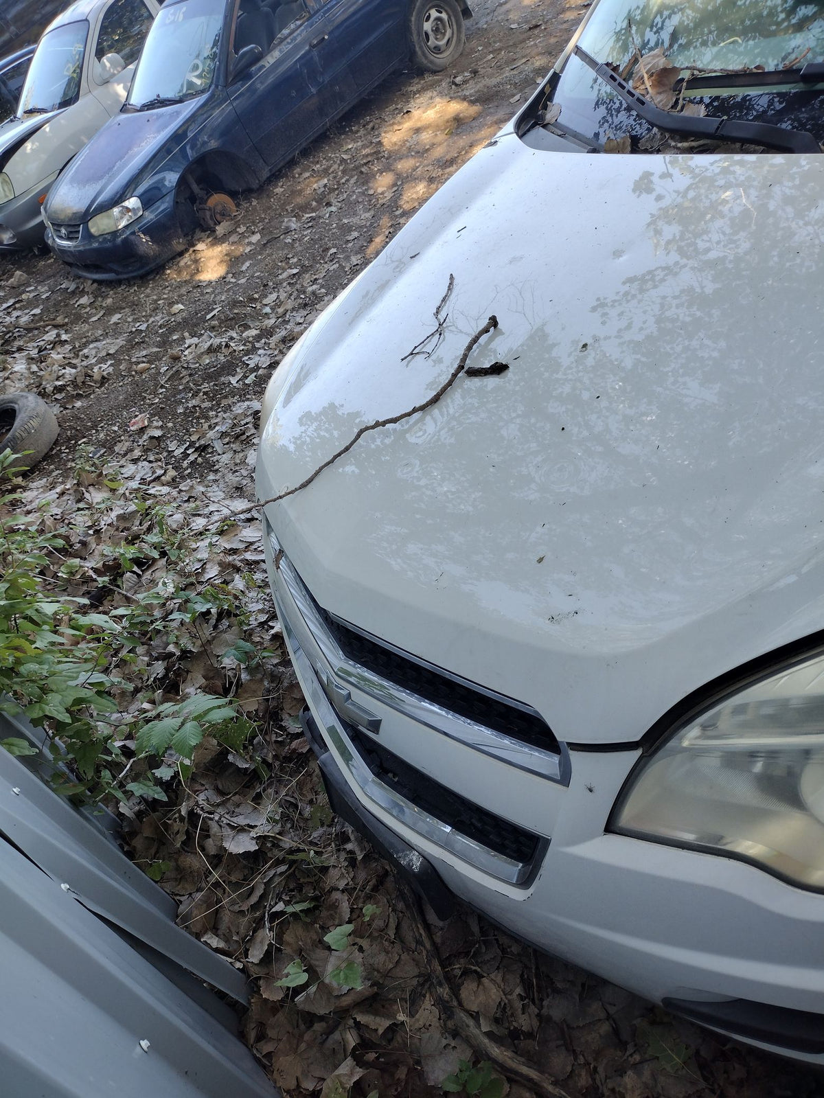 CA_VEHICLE_MEDIA:13203528203:3295220037
