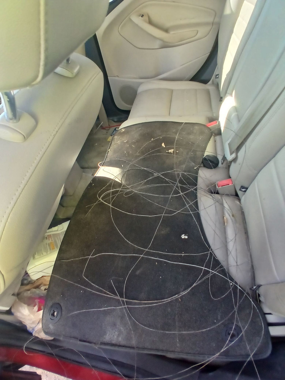 CA_VEHICLE_MEDIA:13203528207:3293918857