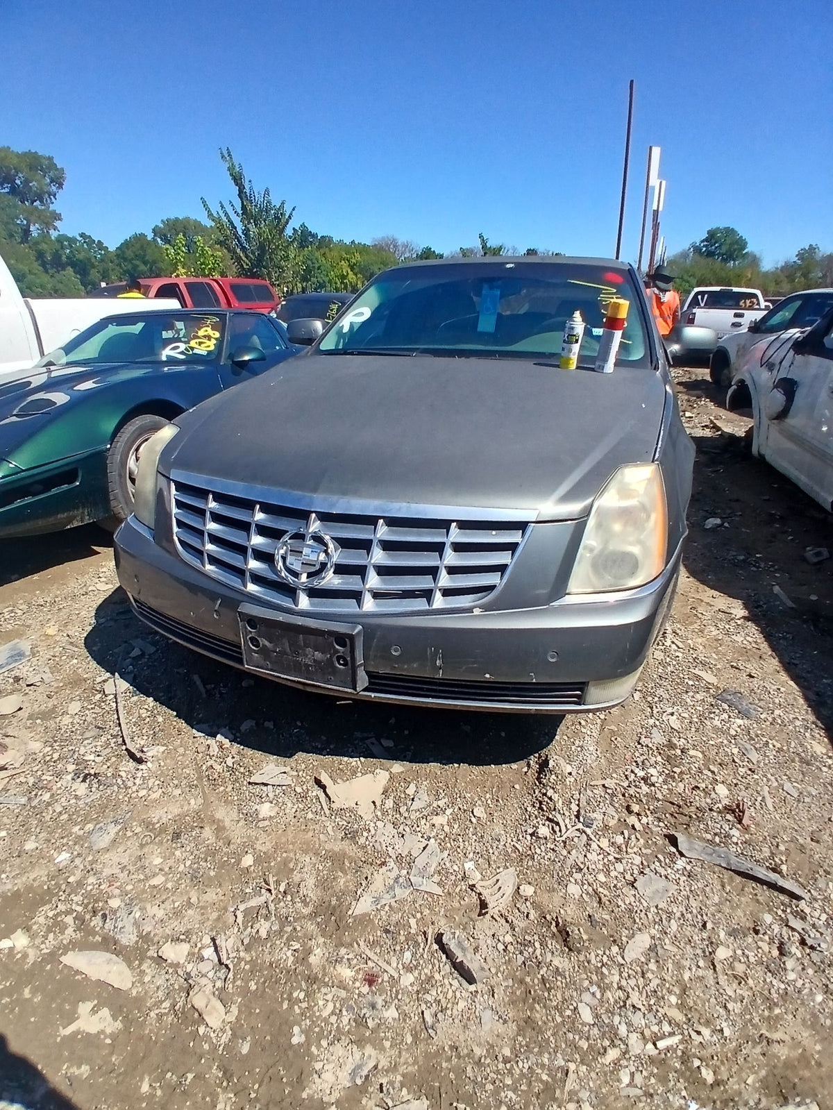 CA_VEHICLE_MEDIA:13203528231:3294743377