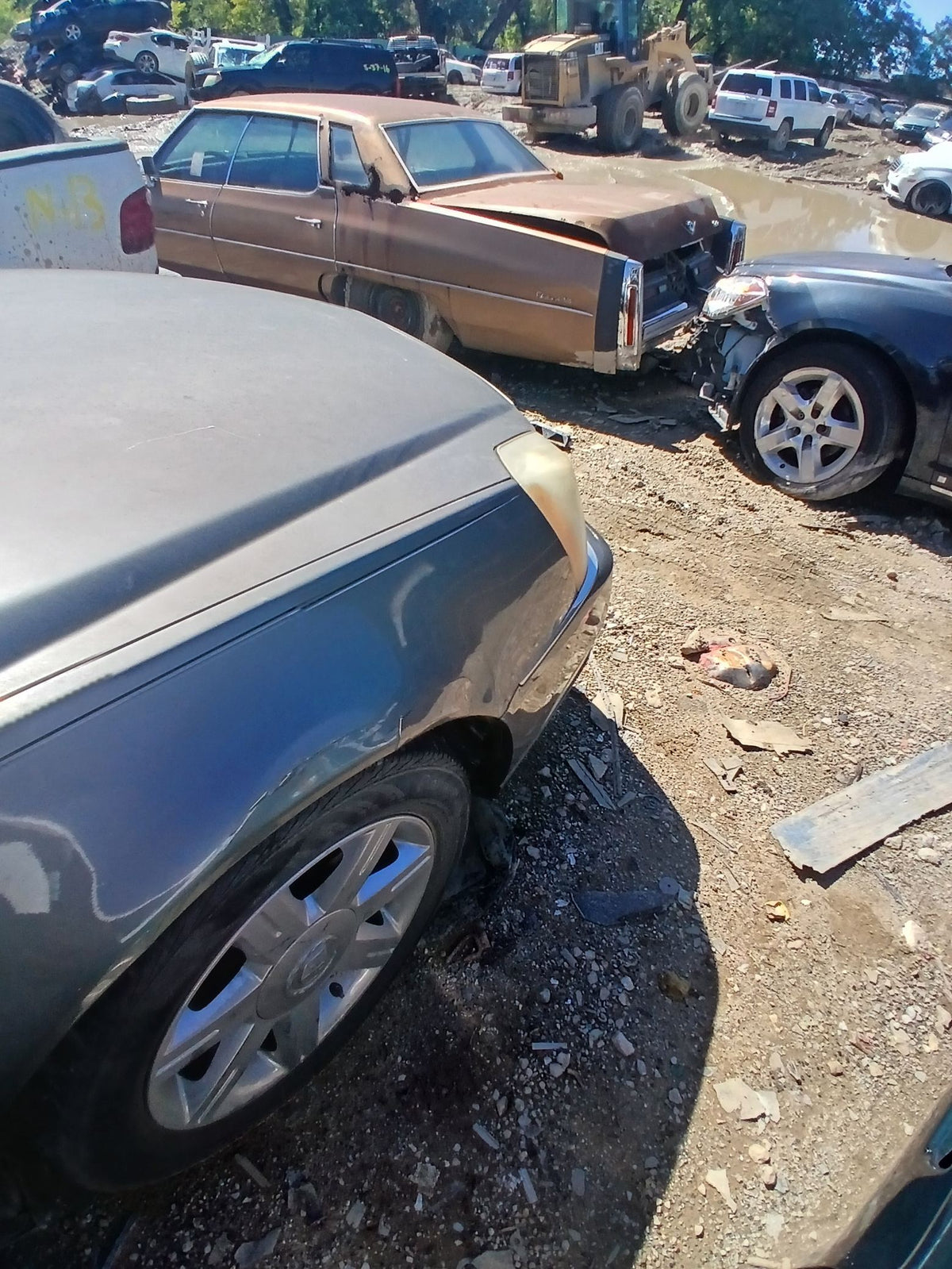 CA_VEHICLE_MEDIA:13203528231:3294747228