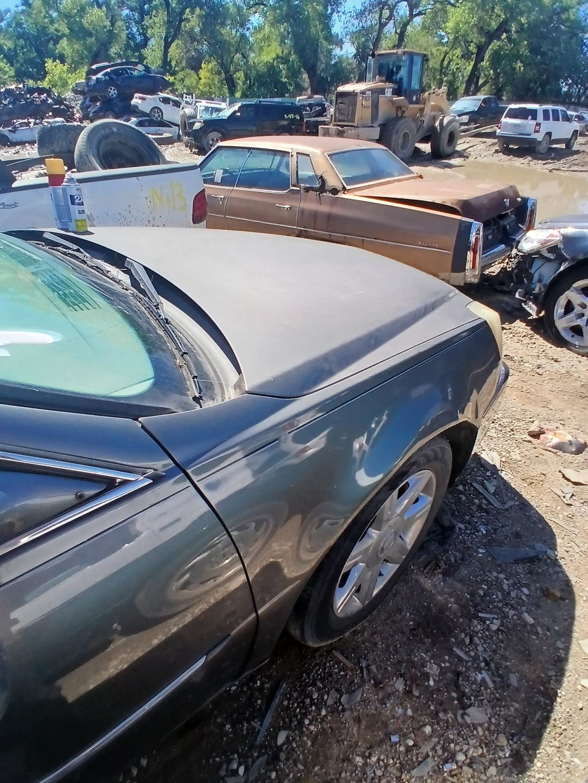CA_VEHICLE_MEDIA:13203528231:3294747275