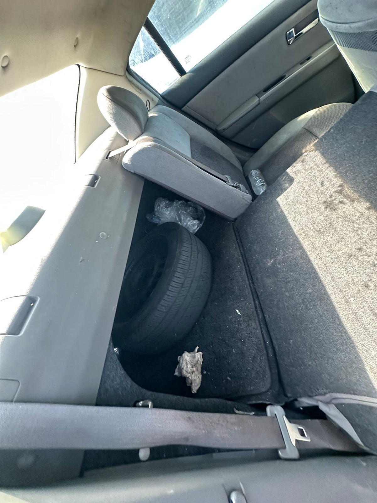 CA_VEHICLE_MEDIA:13203578697:3301551393