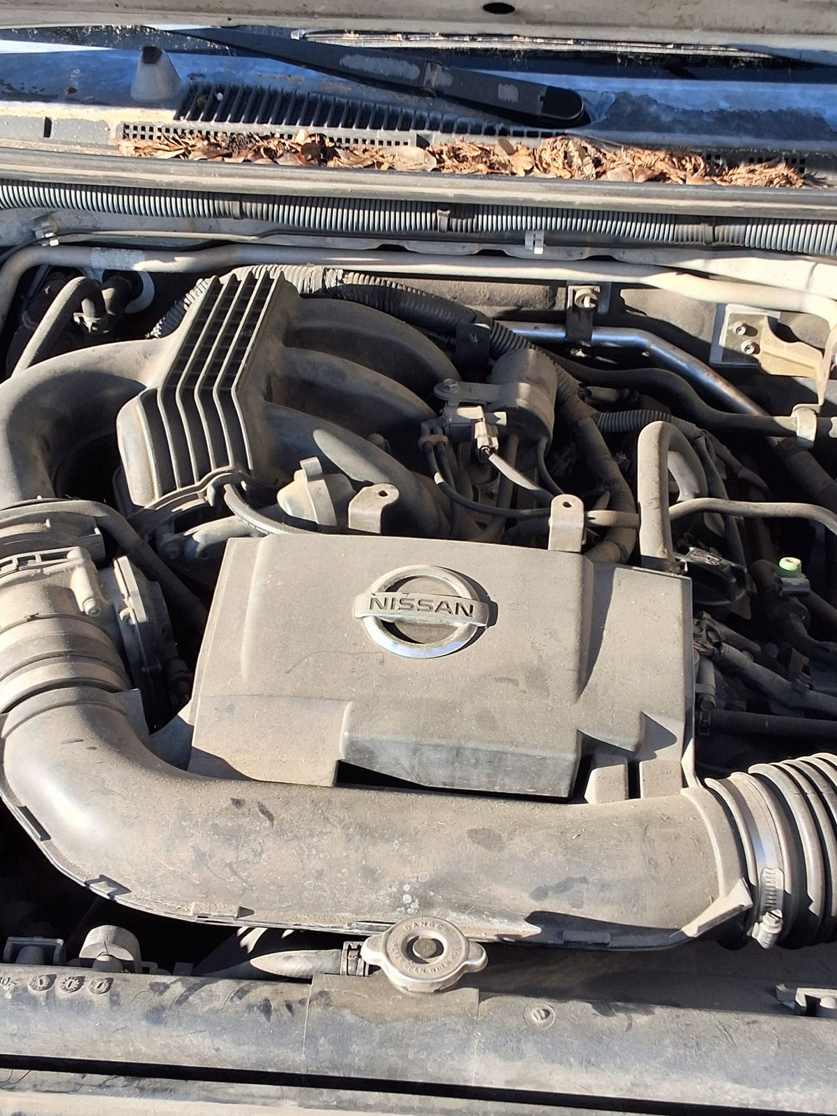 CA_VEHICLE_MEDIA:13203578698:3293879908