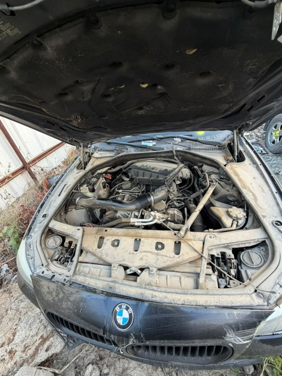 CA_VEHICLE_MEDIA:13203578753:3314043823