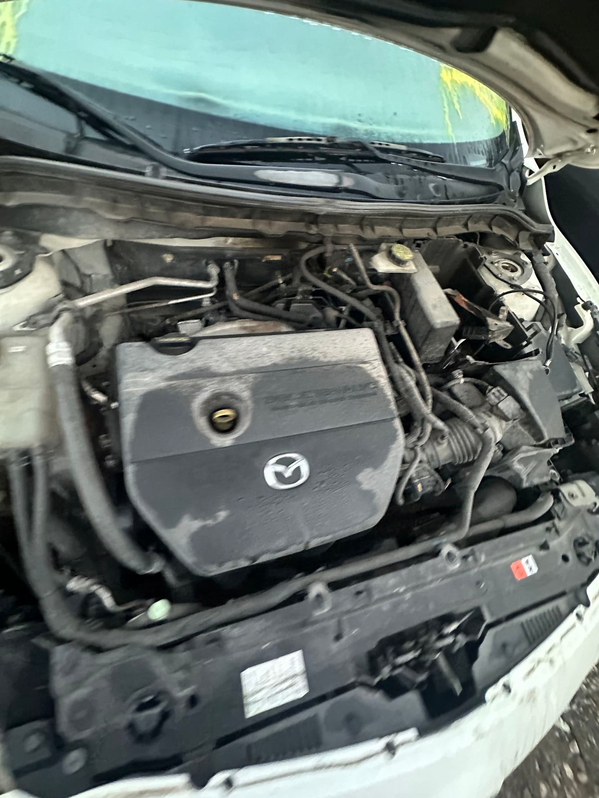 CA_VEHICLE_MEDIA:13203596199:3294159984