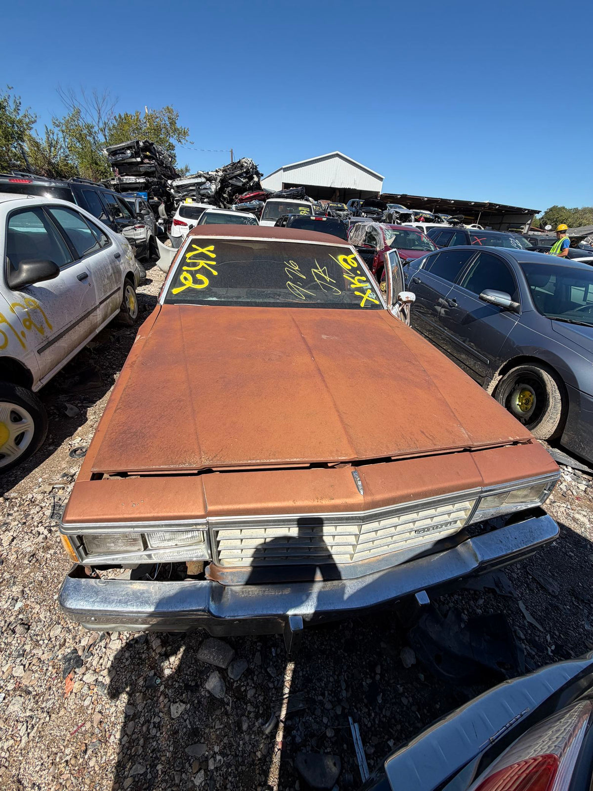 CA_VEHICLE_MEDIA:13203598402:3294466357