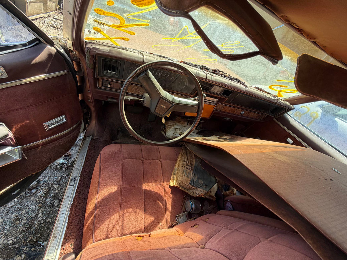 CA_VEHICLE_MEDIA:13203598402:3294474747