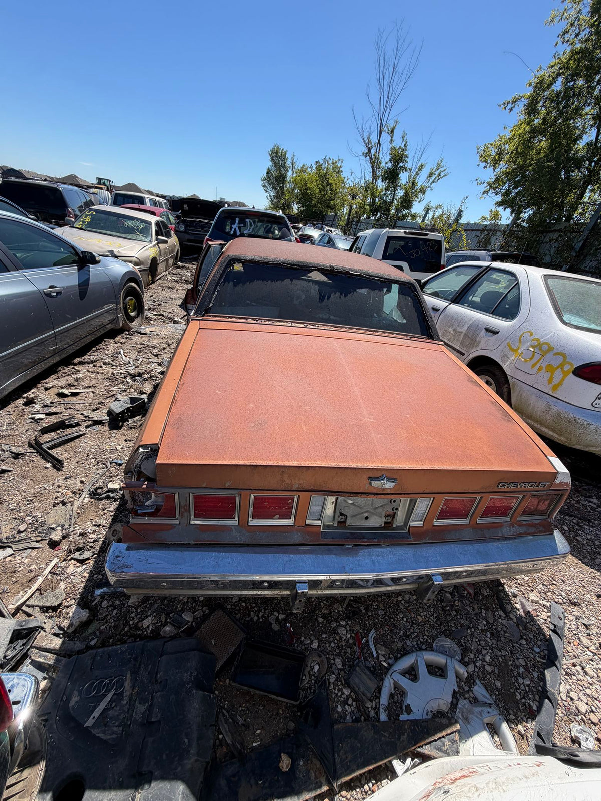 CA_VEHICLE_MEDIA:13203598402:3294474987