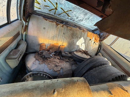 CA_VEHICLE_MEDIA:13203598403:3293753263