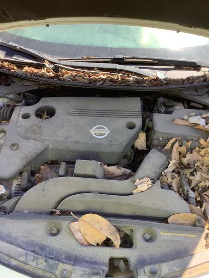 CA_VEHICLE_MEDIA:13203598579:3294801686