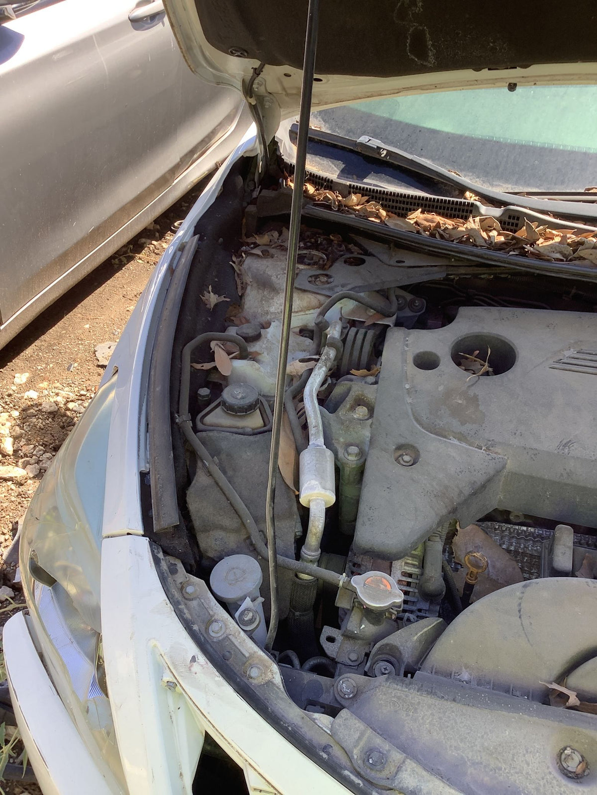 CA_VEHICLE_MEDIA:13203598579:3294801702