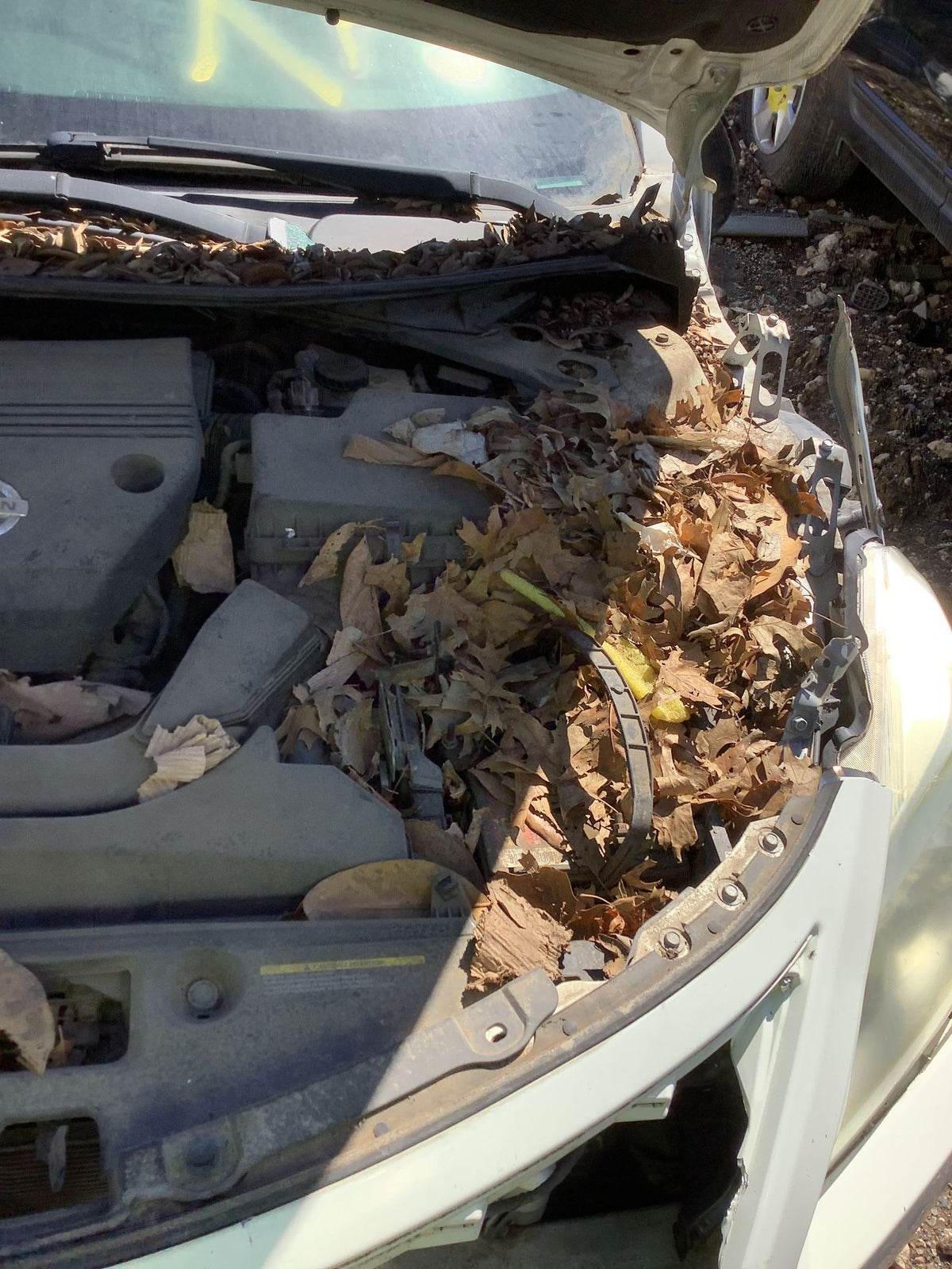 CA_VEHICLE_MEDIA:13203598579:3294801733