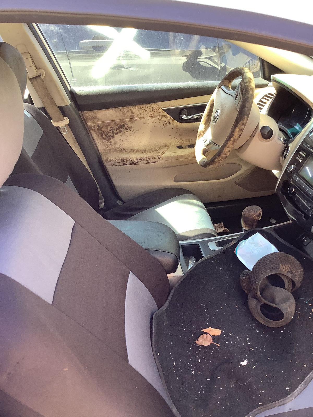 CA_VEHICLE_MEDIA:13203598579:3294801734